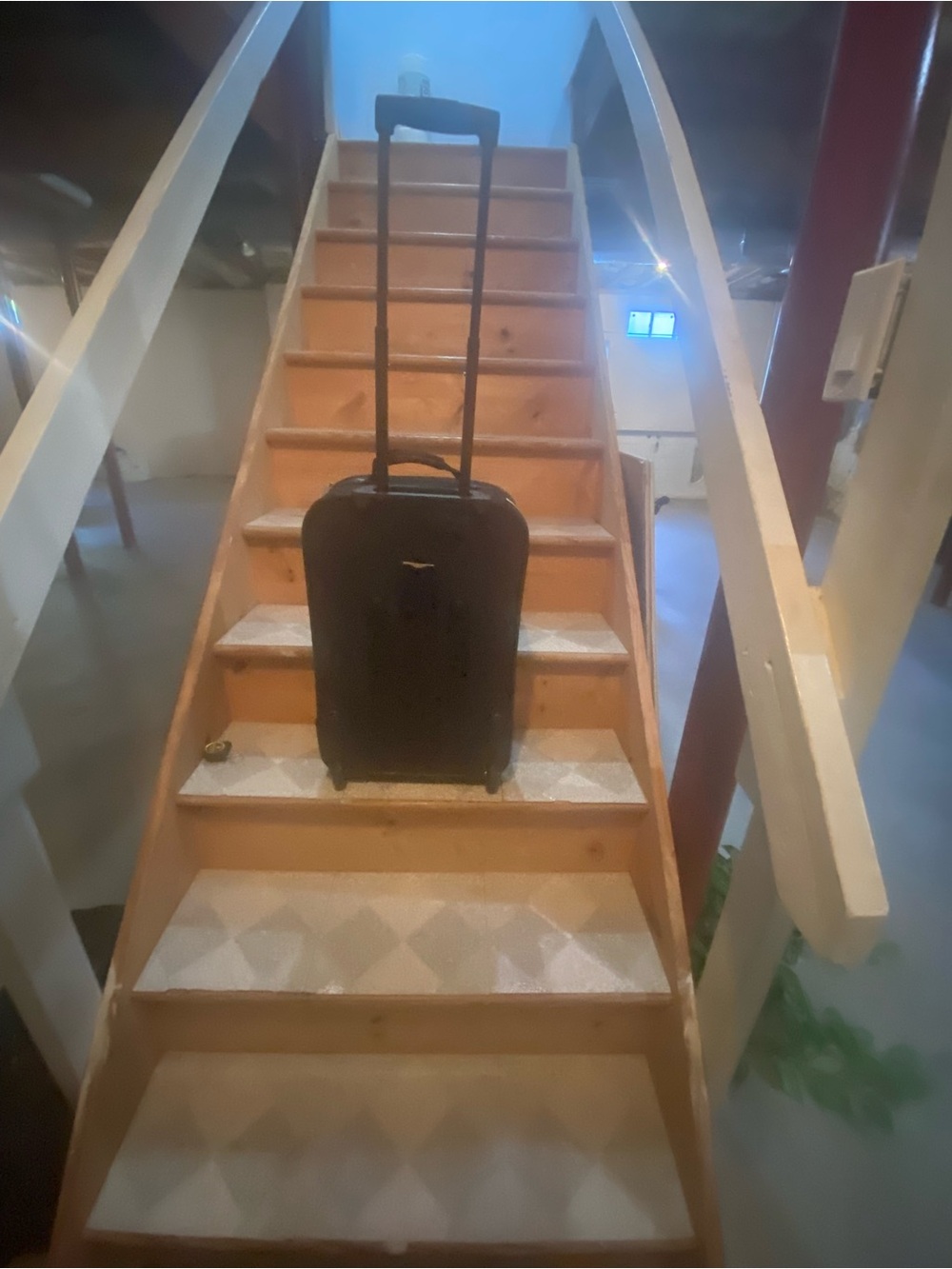 Bark Black Rolling Carry-On Luggage